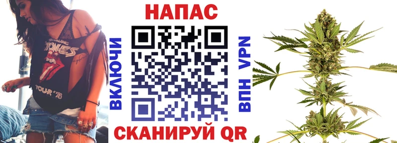 Канабис планчик  Нахабино 